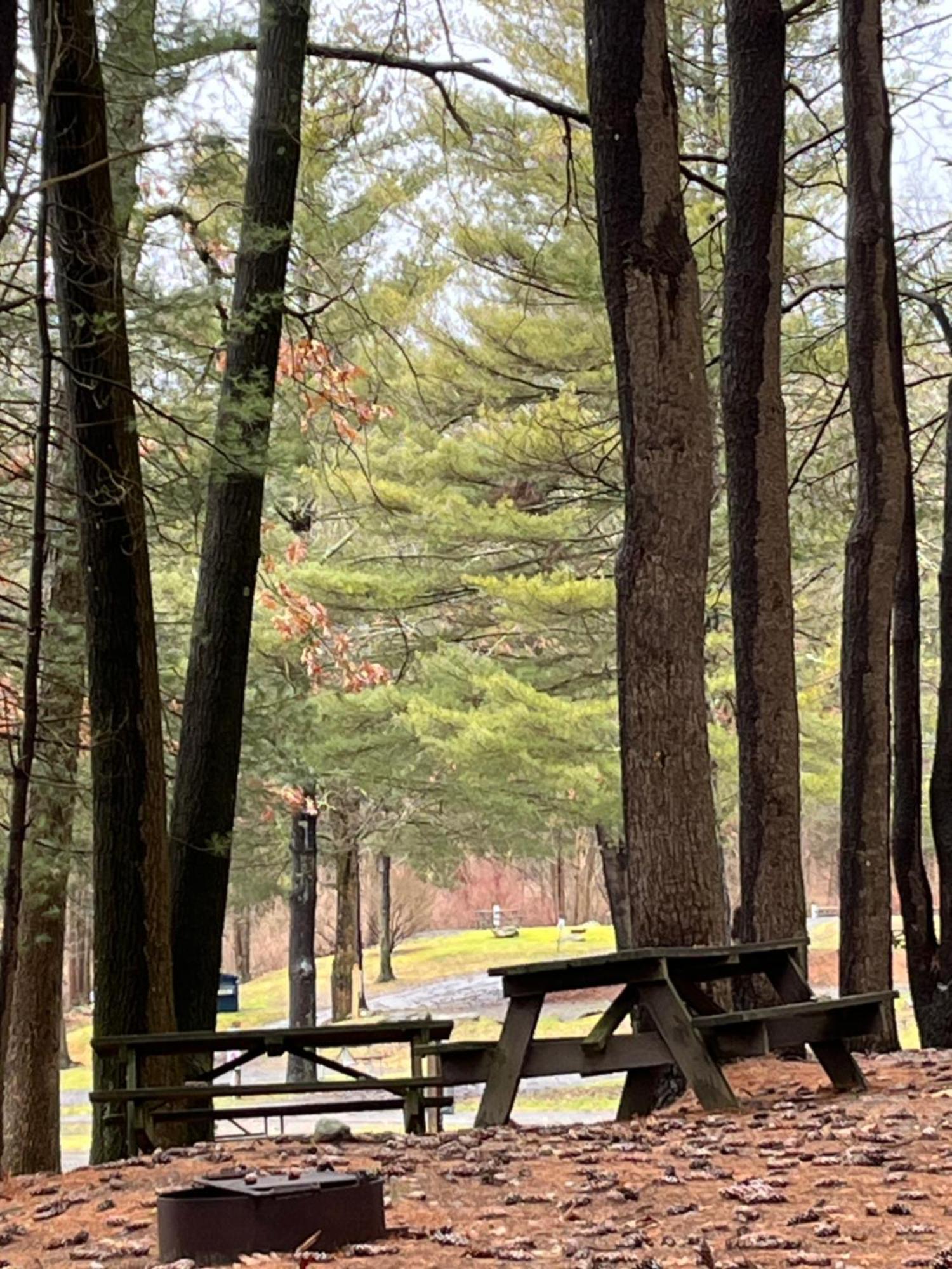 Interlake Rv Park & Campground Rhinebeck Dış mekan fotoğraf
